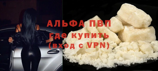 мяу мяу мука Баксан