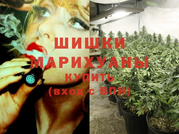 крисы Армянск