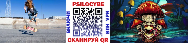 блэк спрут как зайти  Суворов  Псилоцибиновые грибы мухоморы 